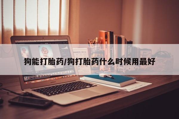 购买米非司酮片打胎药微信狗能打胎药/狗打胎药什么时候用最好