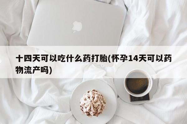 购买米非司酮片打胎药微信十四天可以吃什么药打胎(怀孕14天可以药物流产吗)